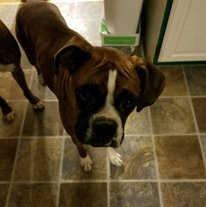 Meet your Posher, Wendy